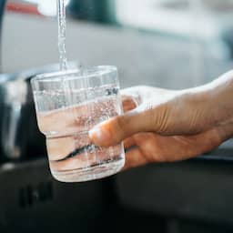 Drinkwater in regio Dordrecht is weer veilig, geen poepbacterie meer gemeten