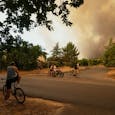 Monocultuur en een natte winter maken Franse natuurbrand ‘onbeheersbaar’