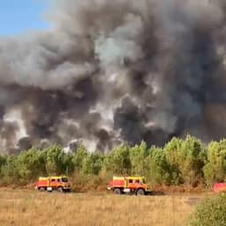 Video | Franse brandweer gaat nog altijd bosbranden bij Bordeaux te lijf