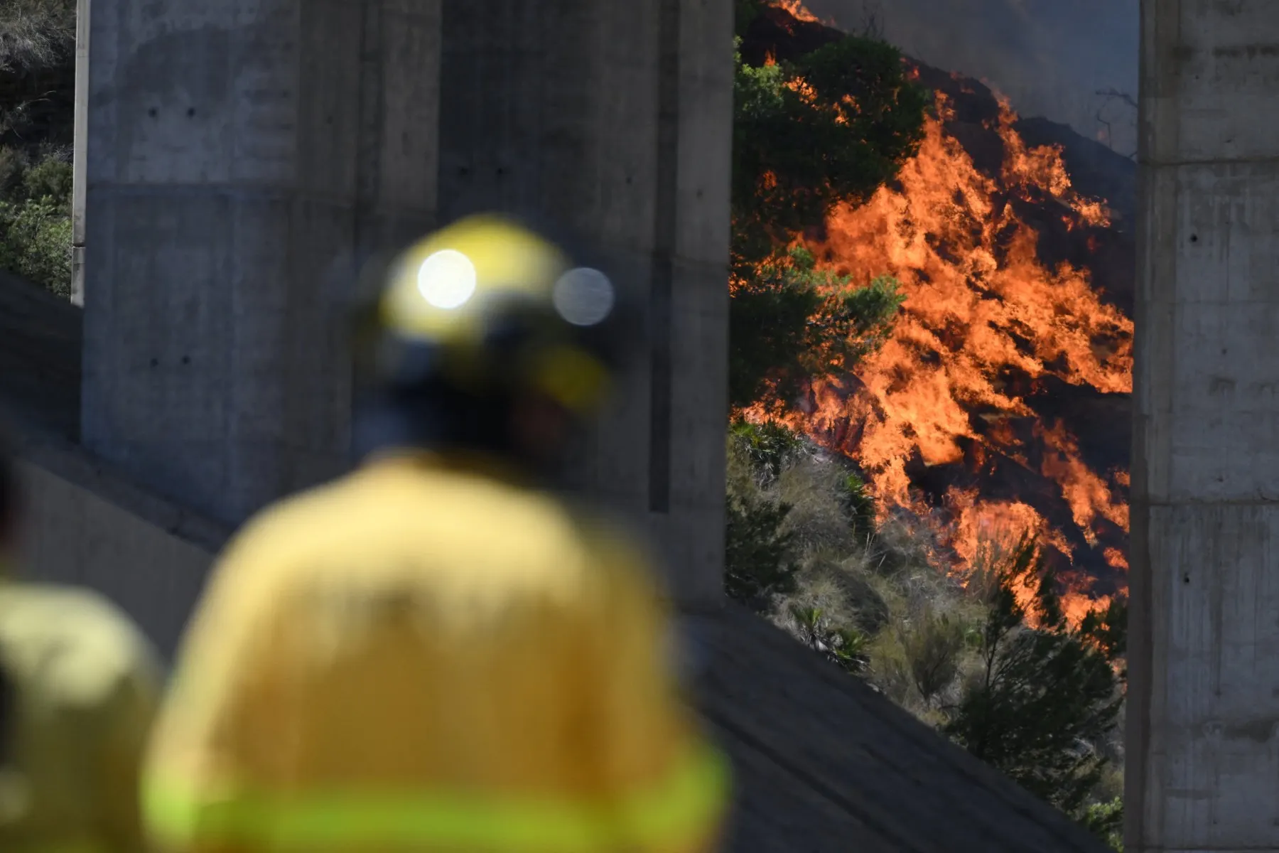 Almería fire death toll hits 14 as woman succumbs to burns weeks later