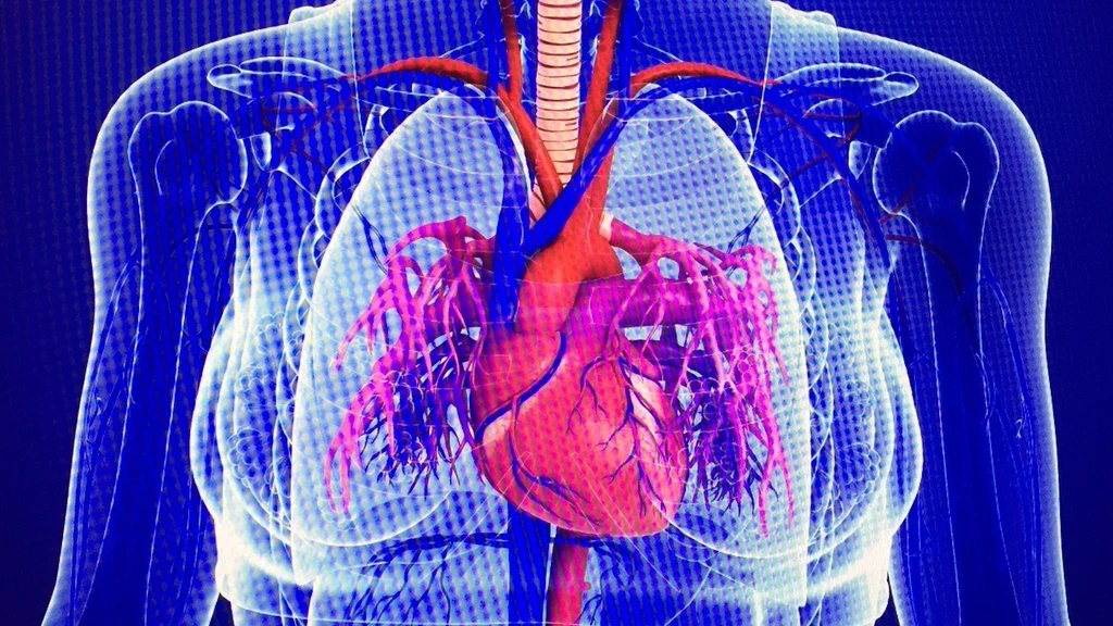 Vereniging van hartpatiënten bezorgd over corruptieonderzoek naar cardiologen