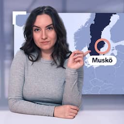 Explainer | Waarom Russische vakantiehuisjes Zweden ongerust maken