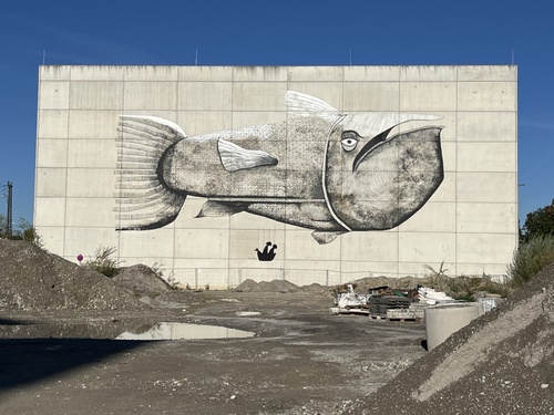 Grote vis muurschildering in Rosenheim, DE