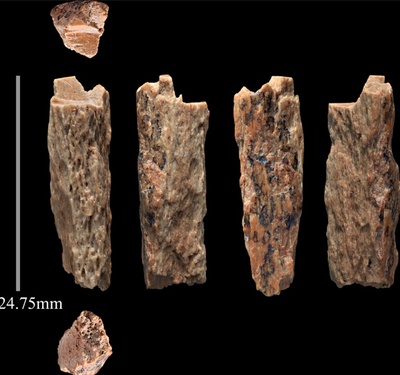 Denisovamens (Homo Denisova)