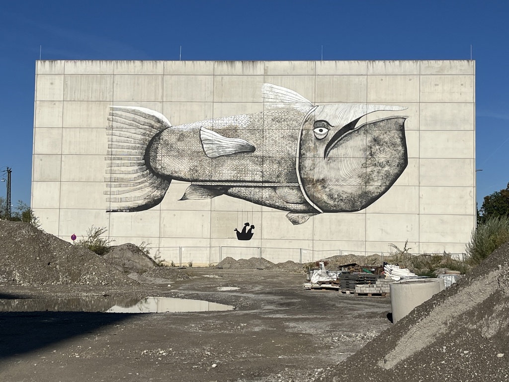 Grote vis muurschildering in Rosenheim, DE