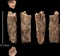 Denisovamens of denisoviërs (Homo Denisova)